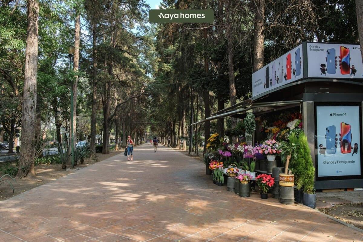 Apartment Horacio 1411-202-cdmx